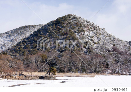 雪の広沢池 9959465