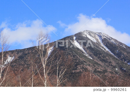 奥日光の冬 9960261