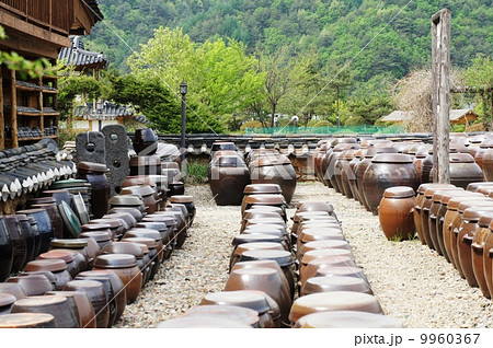 韓国　キムチ壺 9960367