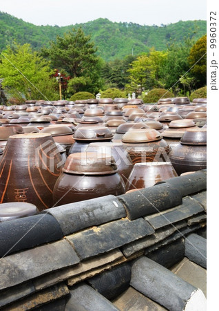 韓国　キムチ壺 9960372