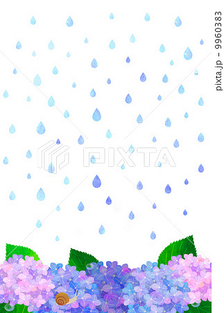 雨とあじさい 9960383