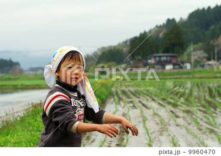 子供の田植え風景 9960470