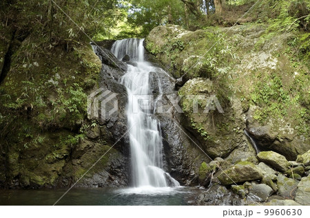 河津七滝上流の二階滝 9960630