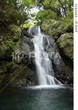 河津七滝上流の二階滝 9960633