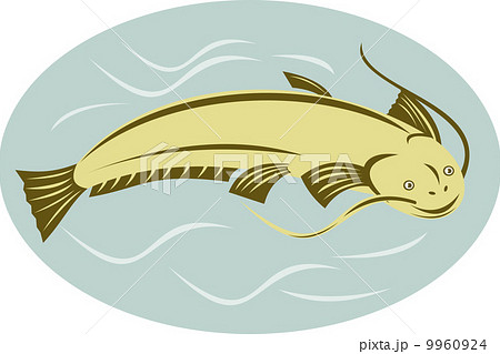 catfish jumping catfish jumping 9960924