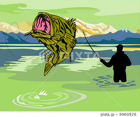 largemouth bass jumping largemouth bass jumping 9960926