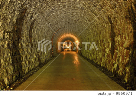 天城山隧道・河津町側 天城山隧道・河津町側 9960971