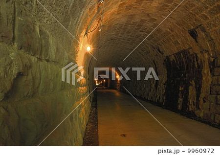 天城山隧道・河津町側 9960972