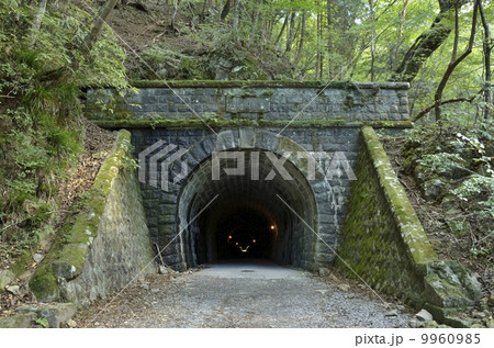 天城山隧道・伊豆市側 9960985