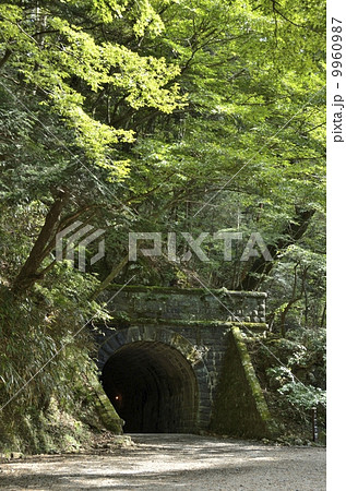 天城山隧道・伊豆市側 9960987