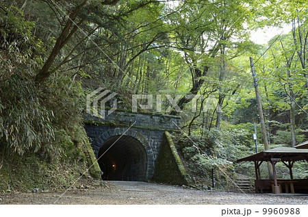 天城山隧道・伊豆市側 9960988