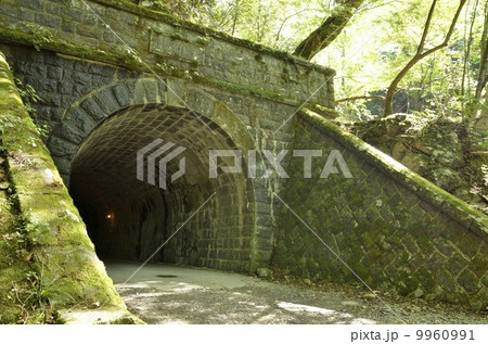 天城山隧道・伊豆市側 9960991