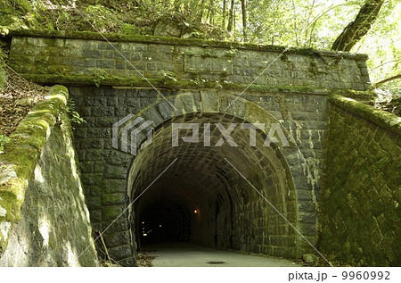 天城山隧道・伊豆市側 9960992