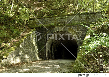 天城山隧道・伊豆市側 9960993