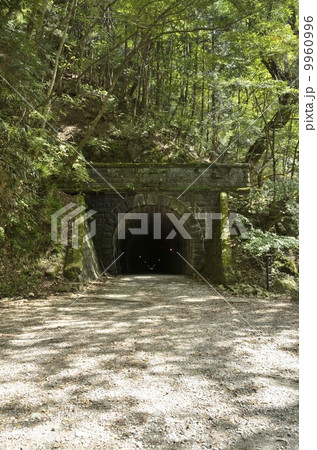 天城山隧道・伊豆市側 9960996