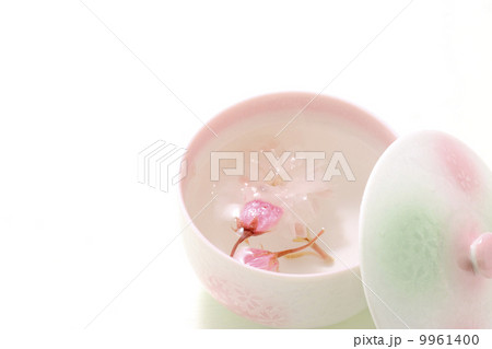 桜茶 桜茶 9961400