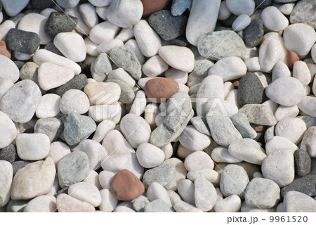白い玉石 9961520