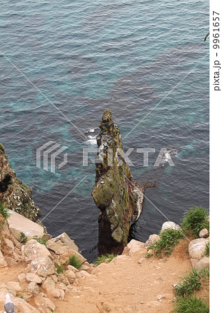 天売島・赤岩 9961657