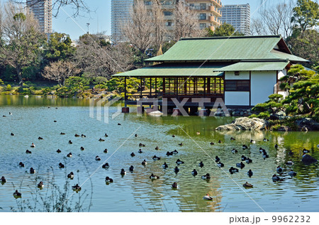 清澄庭園・涼亭 9962232