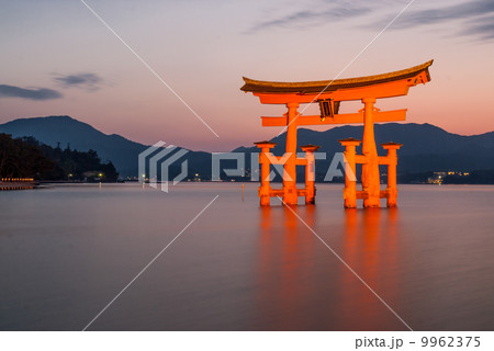 厳島神社 大鳥居 厳島神社 大鳥居 9962375