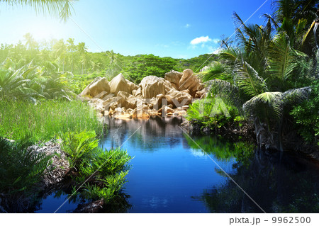 lake in jungle of Seychelles, La Digue island lake in jungle of Seychelles, La Digue island 9962500
