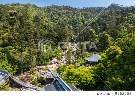 大聖院 大聖院 9962583