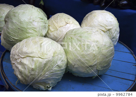 Cabbages 9962784