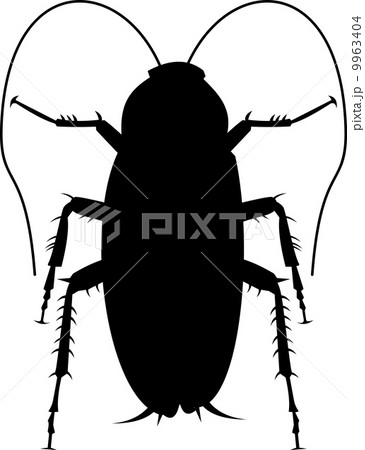 cockroach silhouette cockroach silhouette 9963404