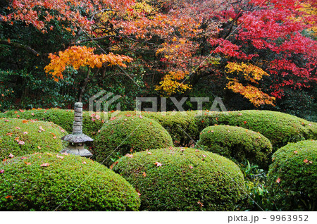 詩仙堂の紅葉 詩仙堂の紅葉 9963952
