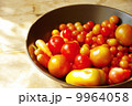 ミニトマト 9964058