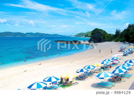 座間味島 座間味島 9964129