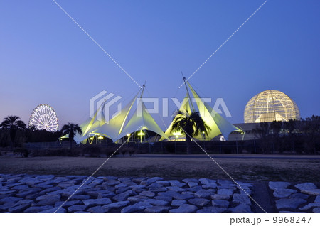 葛西臨海公園 9968247