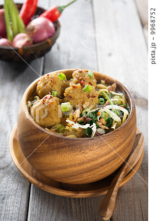 Indonesian food 9968752