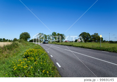 Blooming roadside 9969145