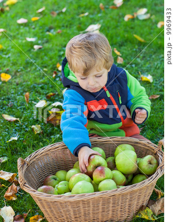 Little toddler boy eating apple 9969433