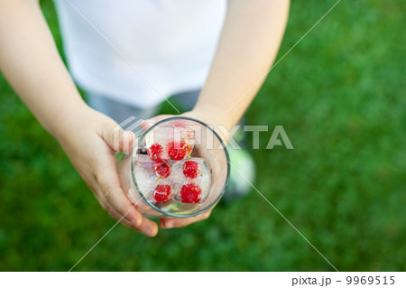 Glass of berry ice cubes holding by a child 9969515