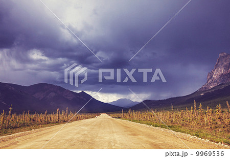 Road on Alaska 9969536