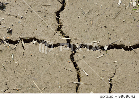 田んぼの地割れ 田んぼの地割れ 9969642