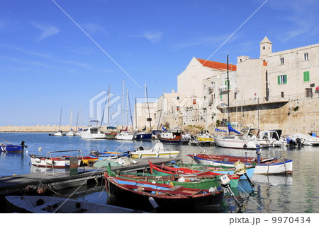 ジョヴィナッツォ　Giovinazzo 9970434