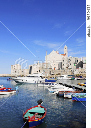 ジョヴィナッツォ Giovinazzo ジョヴィナッツォ Giovinazzo 9970435