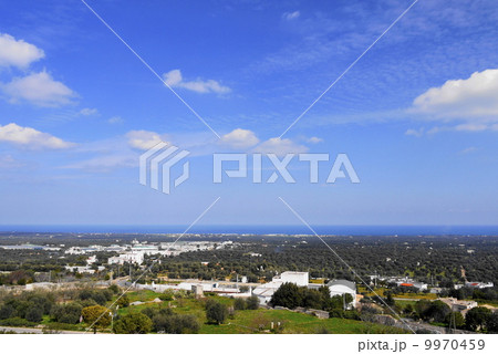 オストゥーニ Ostuni オリーヴ畑 オストゥーニ Ostuni オリーヴ畑 9970459