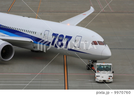 あっ、こっちにきた・・・ 9970760