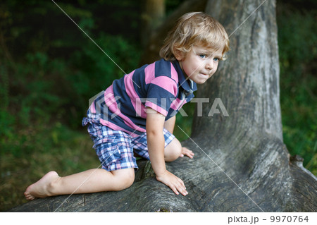 Little cute toddler boy having fun on tree in  forest 9970764