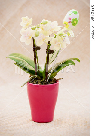 Flowers and painted easter egg in a red flowerpot 9970830