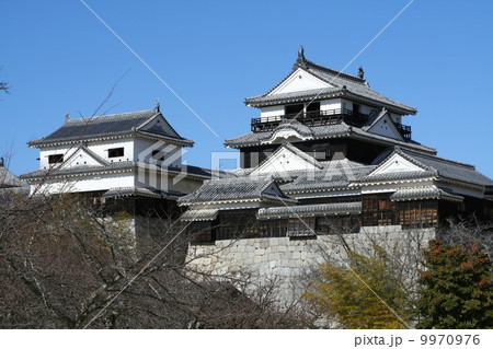 青空の松山城 9970976