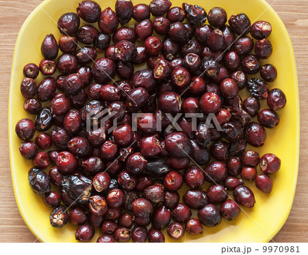 Dried rosehip Dried rosehip 9970981