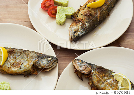 Delicious grilled trout Delicious grilled trout 9970985