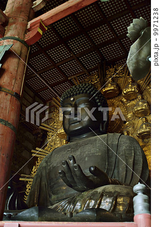 世界遺産 奈良東大寺の大仏 9971238
