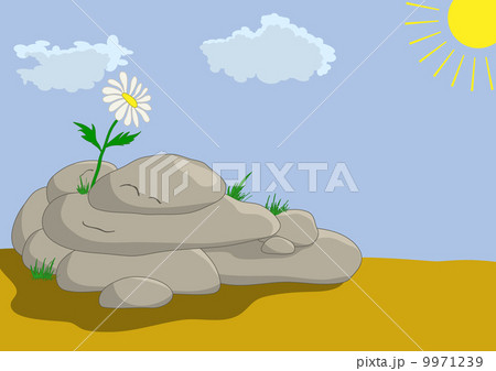 Flower on stones 9971239