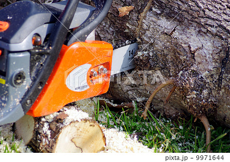 玉切り　 9971644